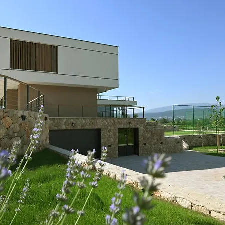 Spectacular Excelsior Perfect For Families, Business, Or Celebrations
